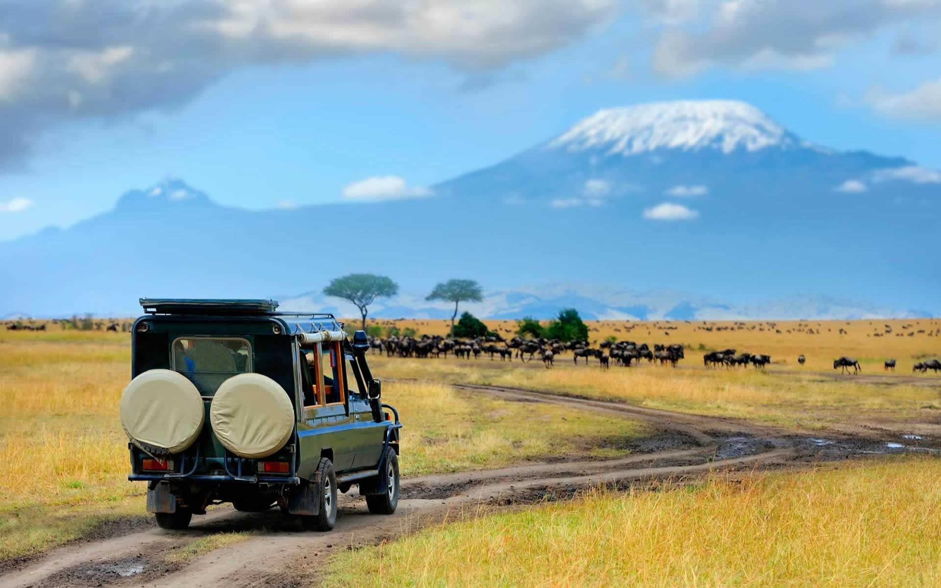 Amboseli National park