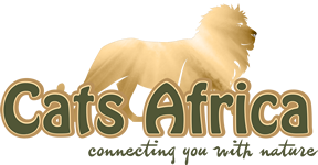 Cats Africa Tours