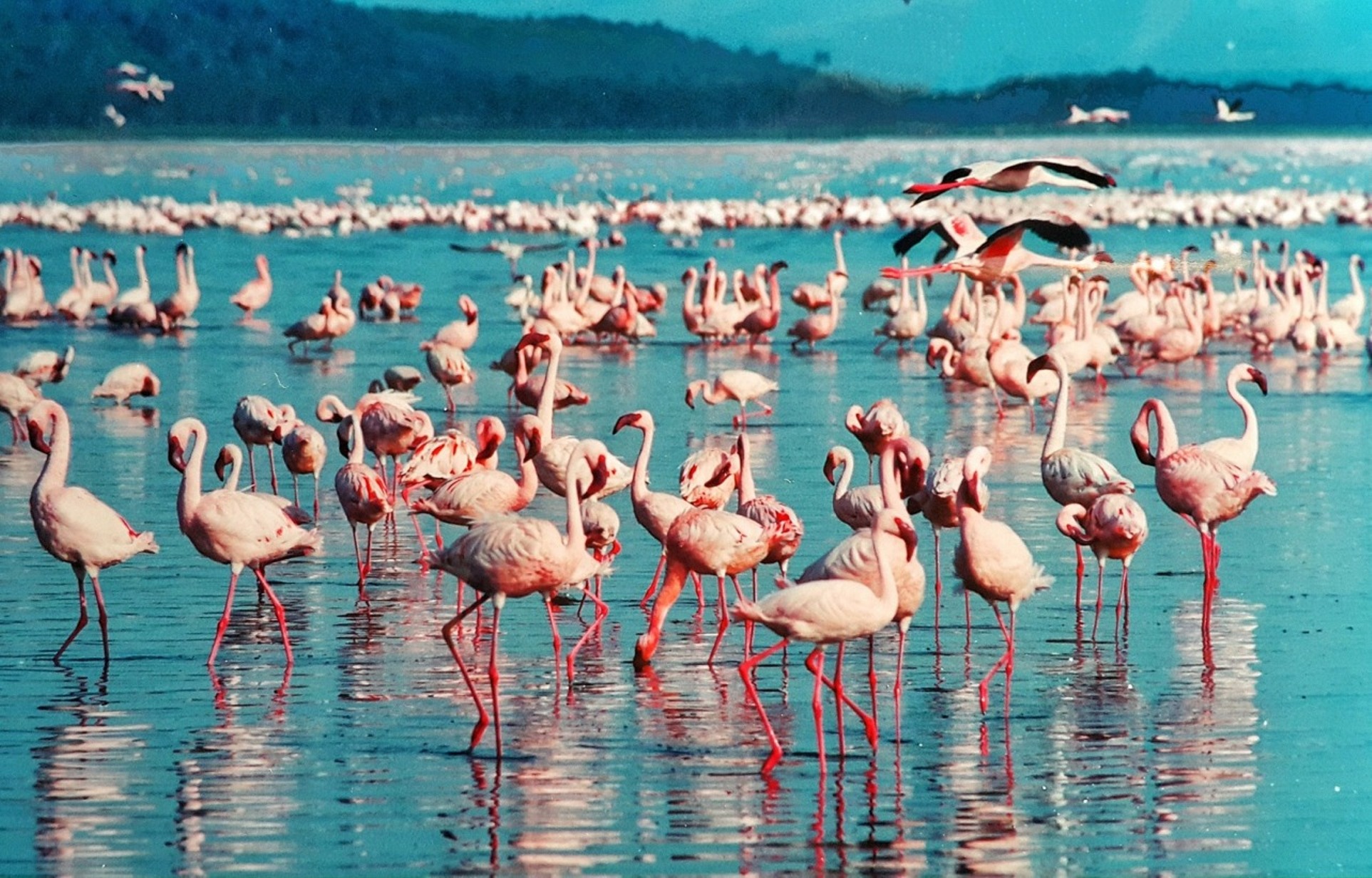 Lake Nakuru National Park