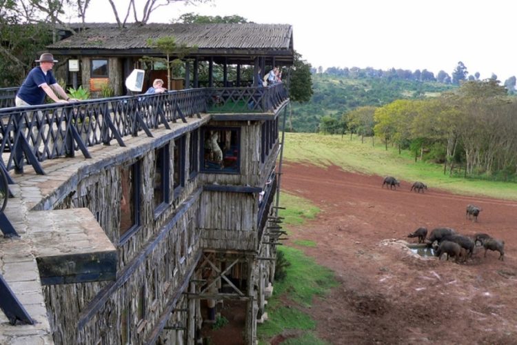 9 Days, 8 Days Tembea Kenya Safari Adventure